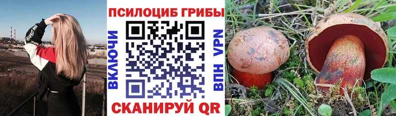 Галлюциногенные грибы ЛСД  Ревда 